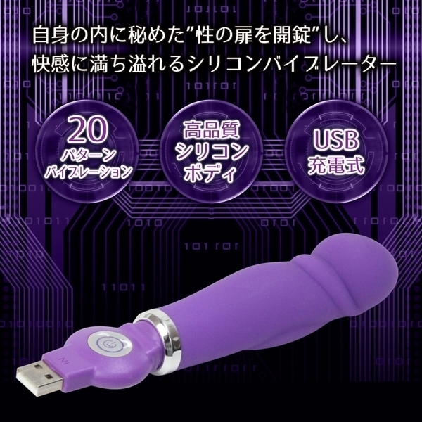 UNLOCKER DICK PICK(ディックピック)