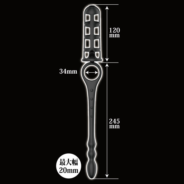 �o�`�A�V�X�g�M�A�@�i�v���O�j