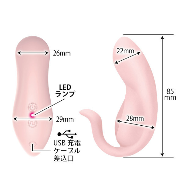 ���u�V���L�[�@�i�f�X�|�b�g�v���W���[�j