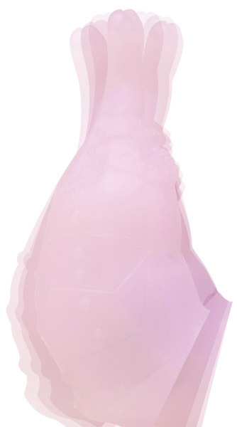 ���X�^�[�@�i�z���C�g�j