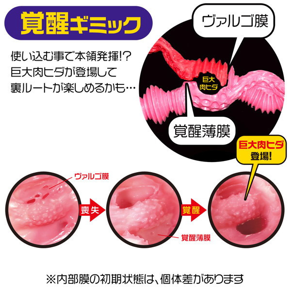 ���r�A�����[�[�Y�@�i�܂�����\�t�g�j