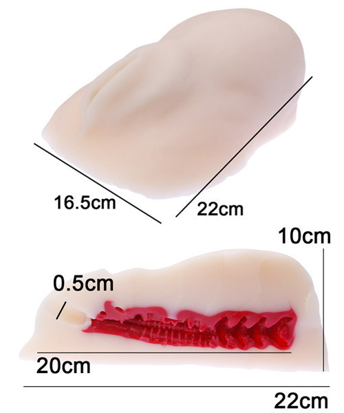 ���I�i������@�i��t���v���X�@�X�^���_�[�h�j