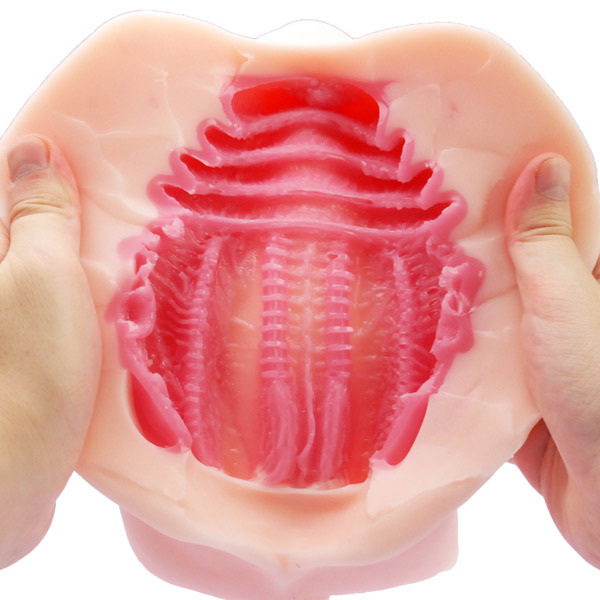 ���I�i������@�i��t���v���X�@�n�[�h�j