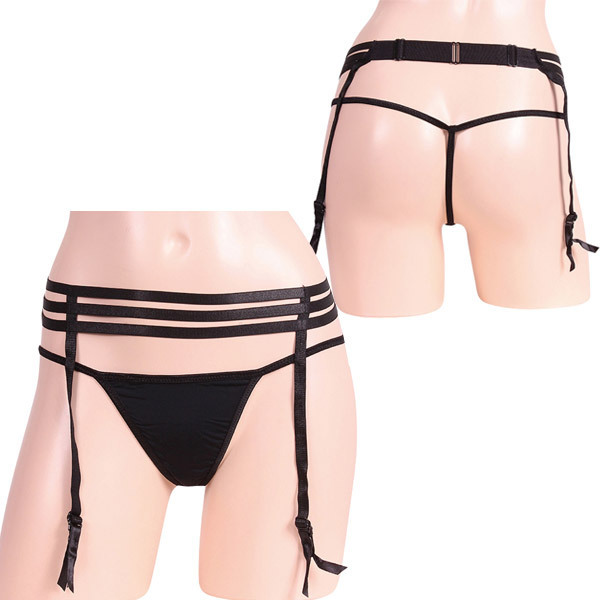 �􉽊w���C���K�[�^�[���s�o�b�N�Z�b�g