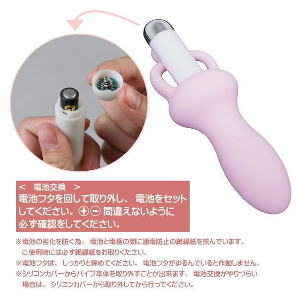 ���k�����������a�������@�a���������i�x�C�r�[�o�j�[�j�@�c�C���G�b�O