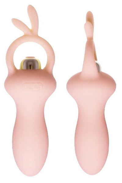 ���k�����������a�������@�a���������i�x�C�r�[�o�j�[�j�@�r���L�B