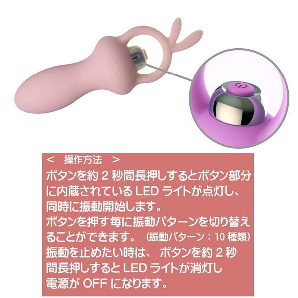 ���k�����������a�������@�a���������i�x�C�r�[�o�j�[�j�@�r���L�B