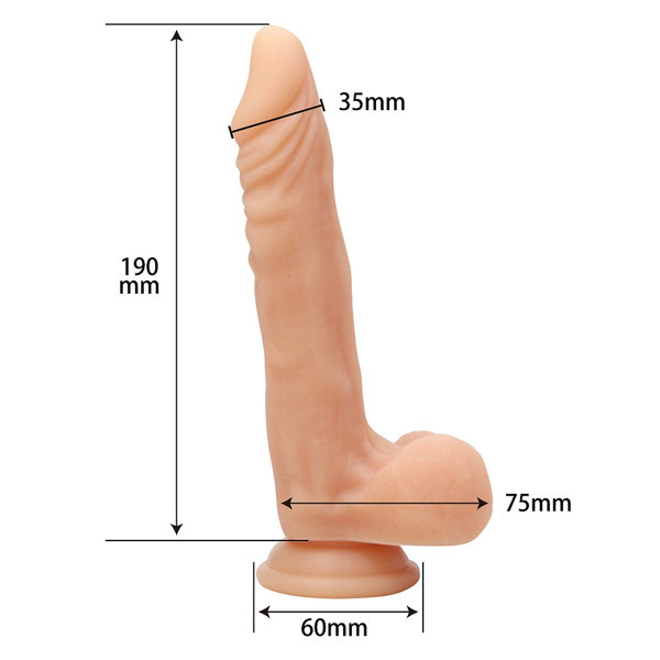 ���{�ꂤ���܂�@�i���ځj