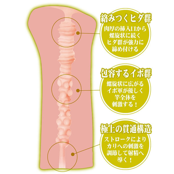 �C�C�I���i�@��������B�@�i�g�V�F�M�j