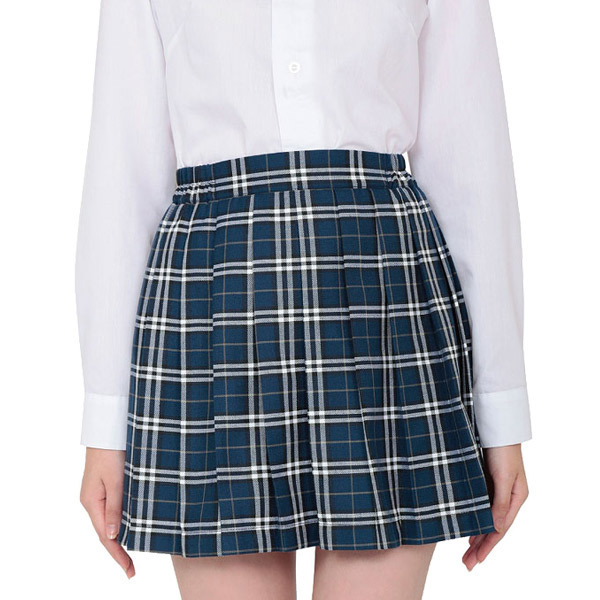 �S�X�^�C���`�F�b�N�X�J�[�g�@�u���[