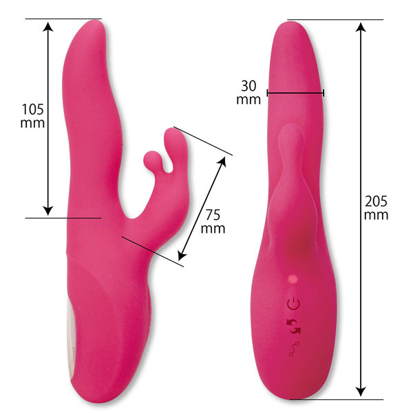 �V�[�N���b�g�K�[�f���@�i�c�C�X�g�_���T�[�j