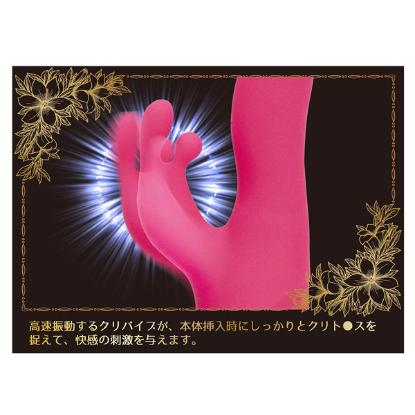 �V�[�N���b�g�K�[�f���@�i�c�C�X�g�_���T�[�j