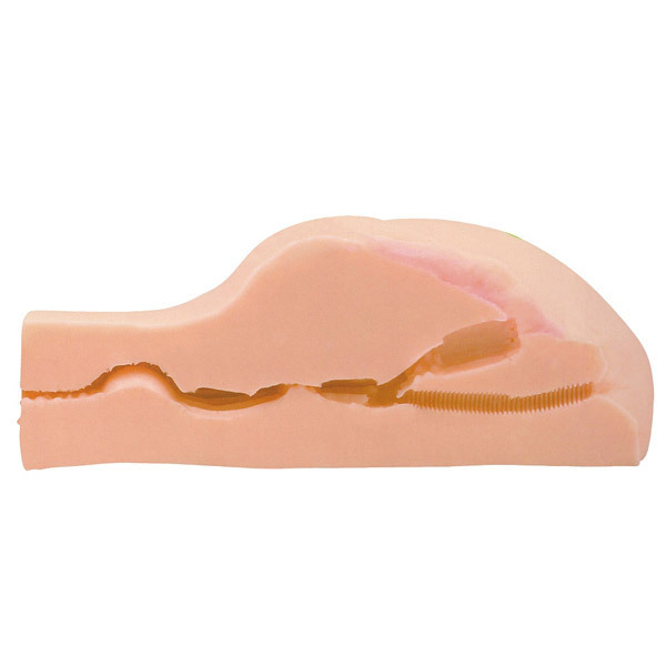 �C�C�I���i�@��������B�@�i�j�`�n�q�h�j