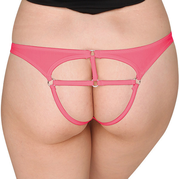 �c���c���Q�������o�b�N���X�V���[�c�@���[�Y