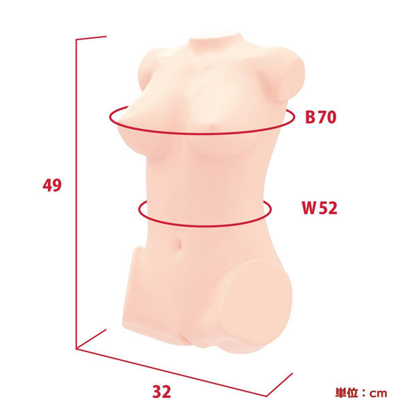 ���A���{�f�B�{�R�c�{�[���V�X�e���@�i�c�J�b�v�o����j