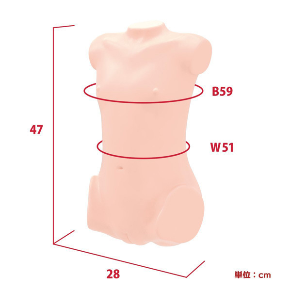 ���A���{�f�B�{�R�c�{�[���V�X�e���@�i��؂��G�؂Ђȁj