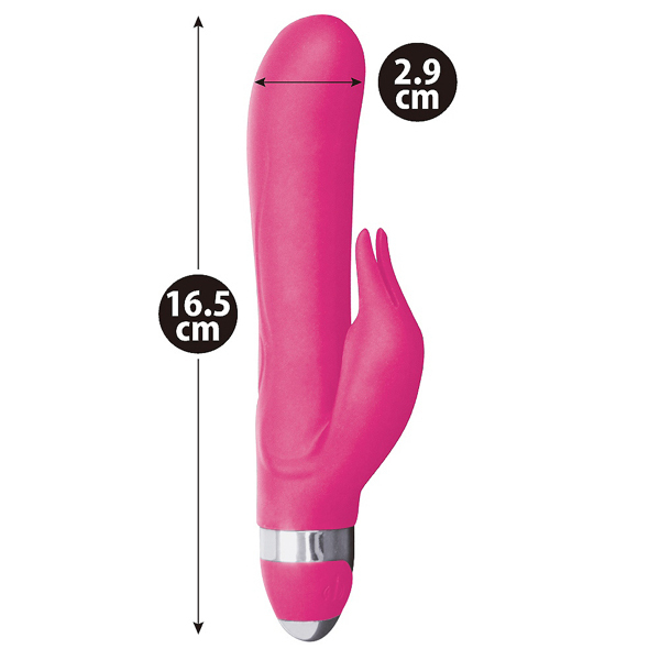 �o�������@�a���������i�s���N�o�j�[�j