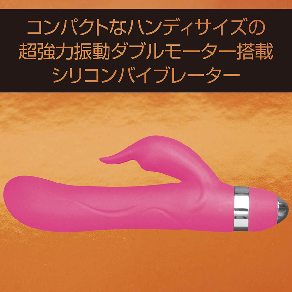 �o�������@�a���������i�s���N�o�j�[�j