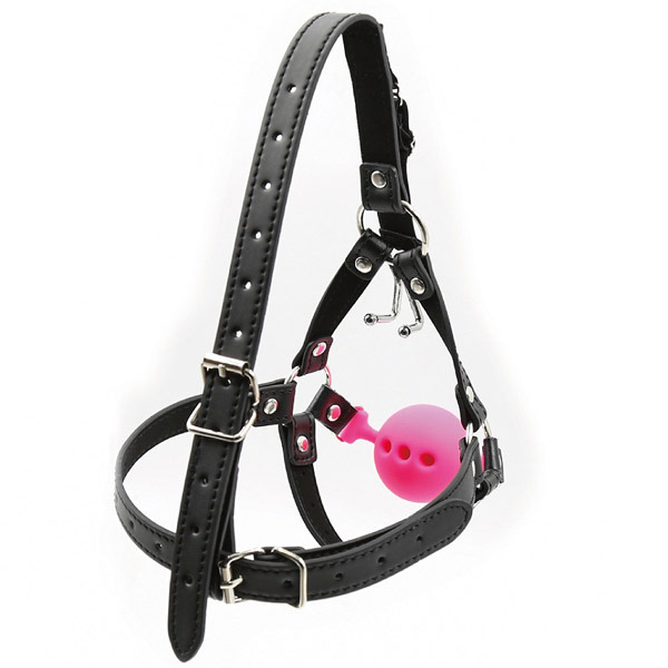 ���r�l�@�u�h�o���@�t�b�N�{�[���M���O�n�[�l�X�@�i�s���N�j