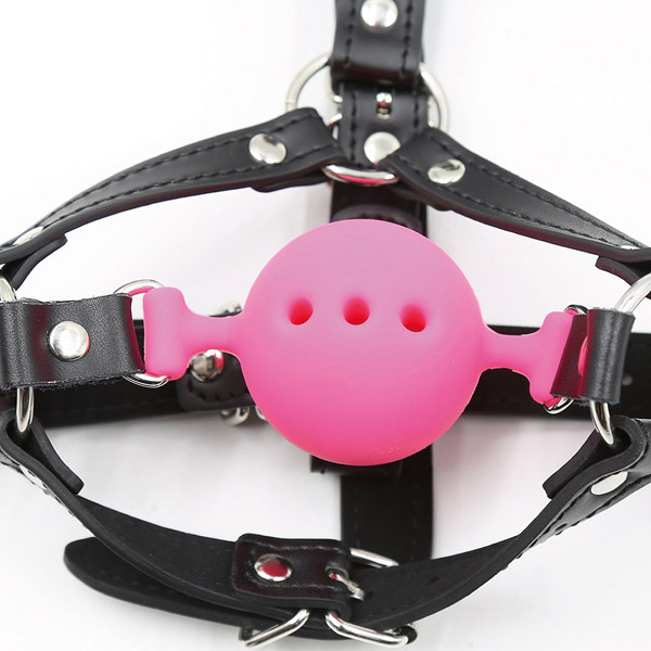 ���r�l�@�u�h�o���@�t�b�N�{�[���M���O�n�[�l�X�@�i�s���N�j