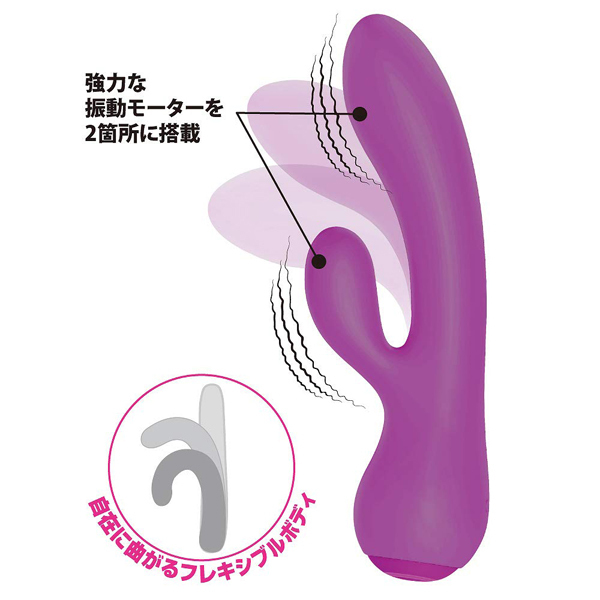 �v���e�B���u�@�i�t���L�V�u���f���A���o�C�u���[�^�[�j