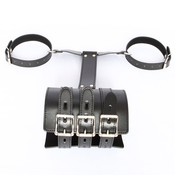 ���r�l�@�u�h�o���w�ʘr�S���x���g