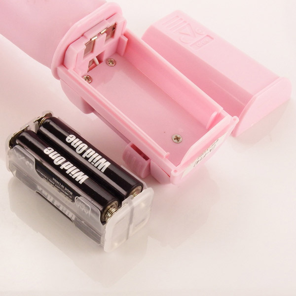 �t�@�[�X�g�o�C�u�@�i���C�L�@�|���`�I�}�X�^�[�j