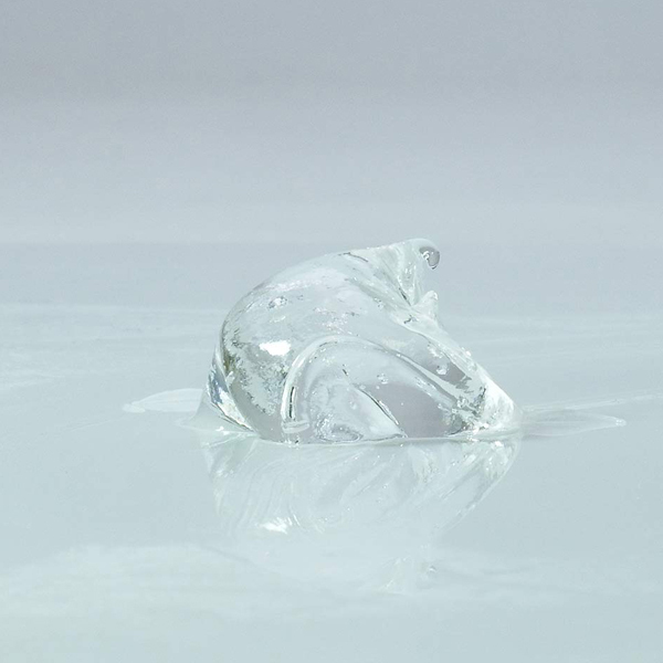 ��΃C�J����N���[���@�i�Ⓒ�@�I���K�Y���̋Ɂj