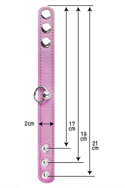 �r�l��g�p�X�e���@�i�s���N�j