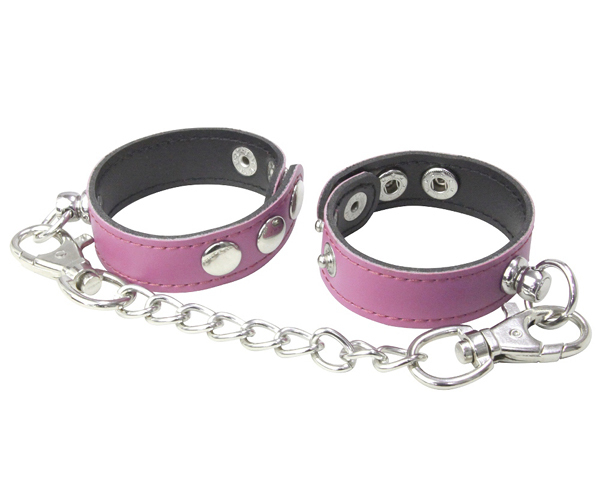 �r�l��g�p�X�e���@�i�s���N�j