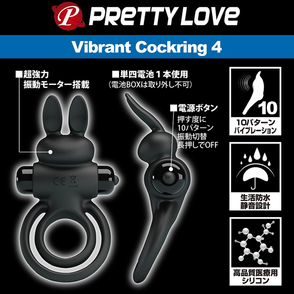 �v���e�B���u�@�i�o�C�u�����g�R�b�N�����O�@�S�j