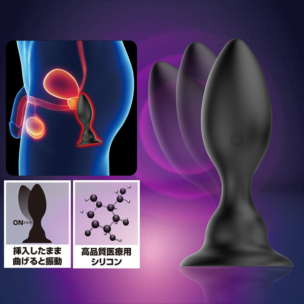 �v���e�B���u�@�i�v�b�V���g���K�[�o�C�u���[�V�����v���O�j