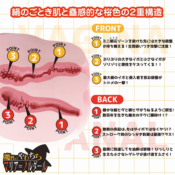 ���A���{�f�B�{�R�c�{�[���V�X�e���@�i�����̂�킿���@�}���A���m���_�[���j