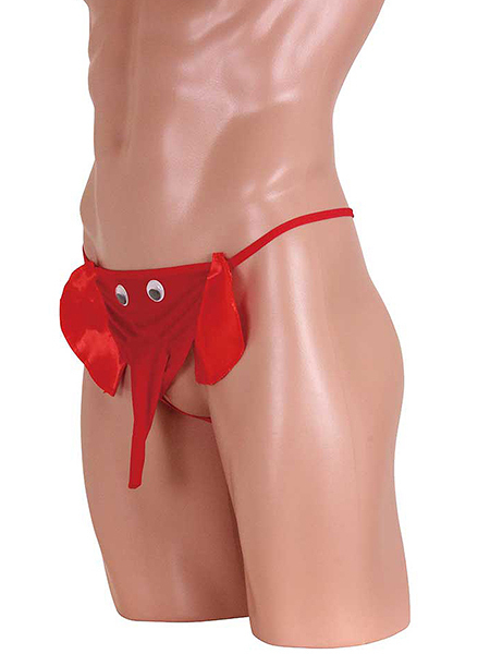 ���ڂ����������p���c�@�i���b�h�j