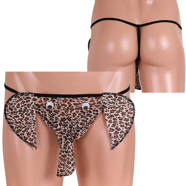 ���ڂ����������p���c�@�i�A�j�}���j