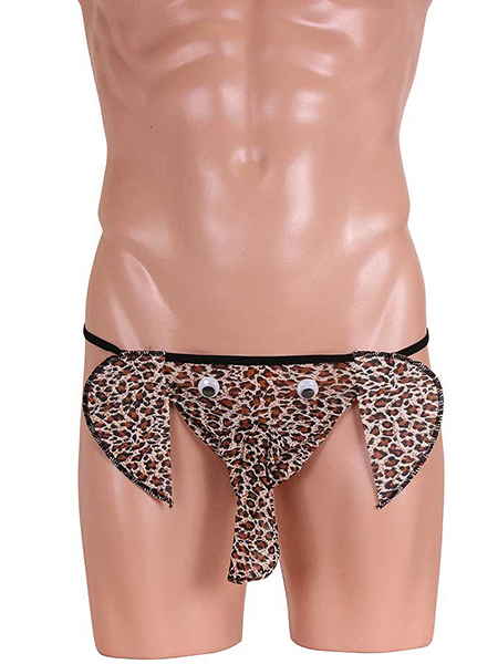 ���ڂ����������p���c�@�i�A�j�}���j