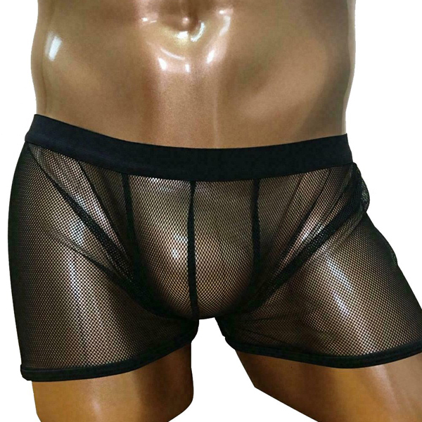 �a�����c���������@�r�d�w�x���[�X�n�o�b�N�@�g�����N�X�@�u���b�N