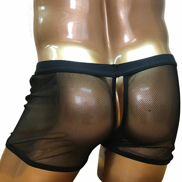 �a�����c���������@�r�d�w�x���[�X�n�o�b�N�@�g�����N�X�@�u���b�N