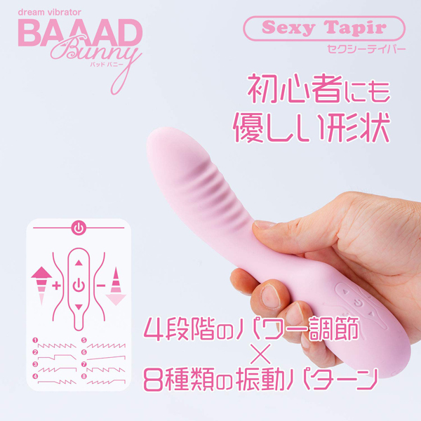 �a���������@�a���������i�o�b�h�o�j�[�j�@�Z�N�V�[�e�C�p�[