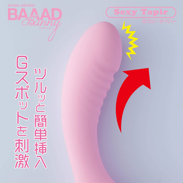 �a���������@�a���������i�o�b�h�o�j�[�j�@�Z�N�V�[�e�C�p�[