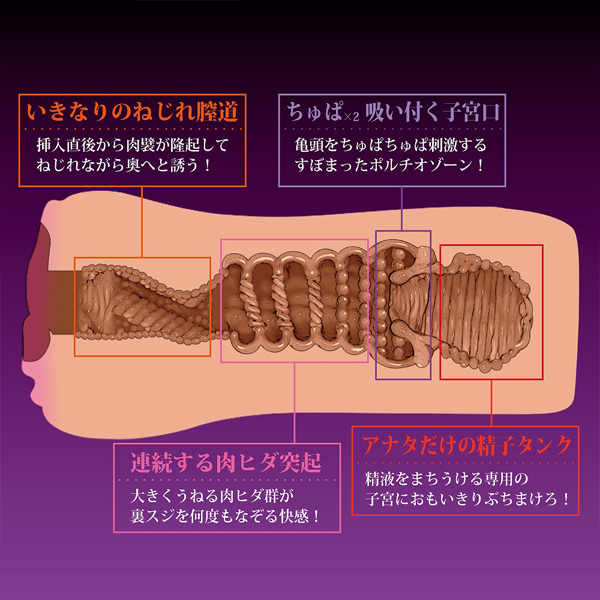 ���ׂ̈��������܂͉��̓��֊�