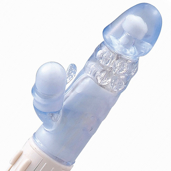 �|�R�`���N�S���@�T�C�����g�@�i�u���[�j