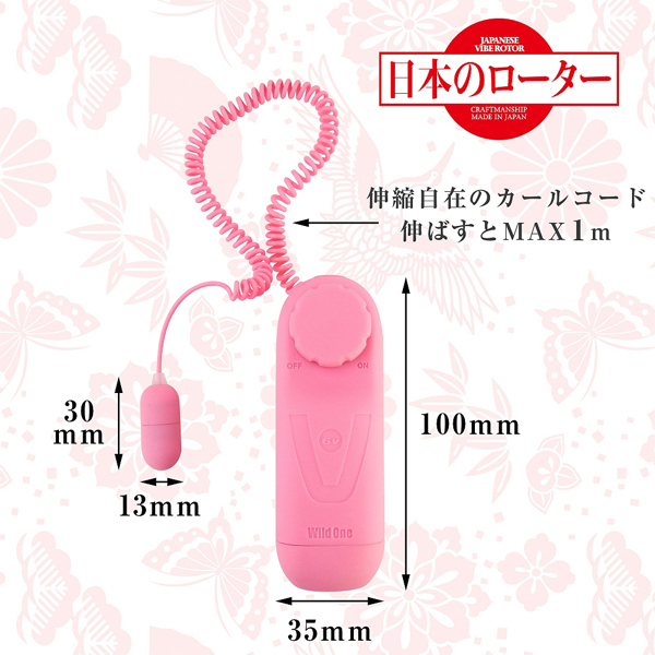 ���{�̃��[�^�[