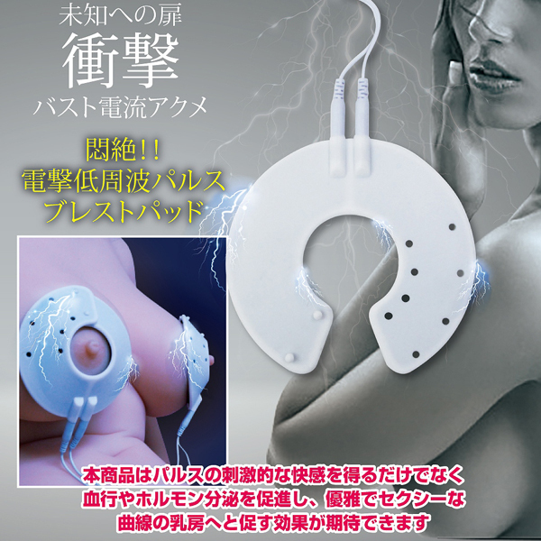 �G���N�g���b�N�V���b�N�@�u���X�g�p�b�h�G���n���T�[�@�{��