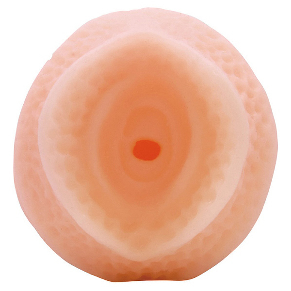 ���R�m�a�����������@�r�������v���~�A���z�[���@�i���[�[�j