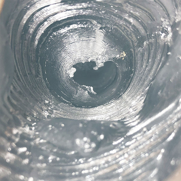 �O���c�B�A�@�i�s�x�o�d�O�P�j