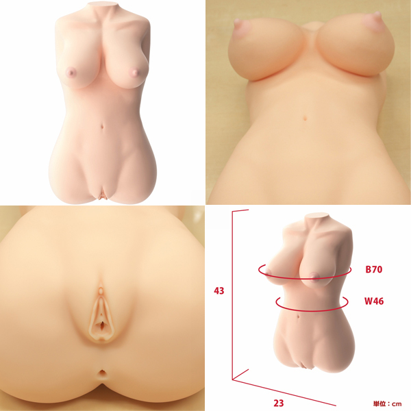 ���{�����A���{�f�B�{�R�c�{�[���V�X�e���@�i���f�̃��P�ς��@�A�[�j���E�L�������j