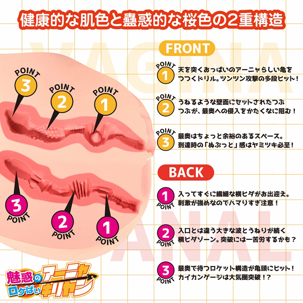 ���{�����A���{�f�B�{�R�c�{�[���V�X�e���@�i���f�̃��P�ς��@�A�[�j���E�L�������j