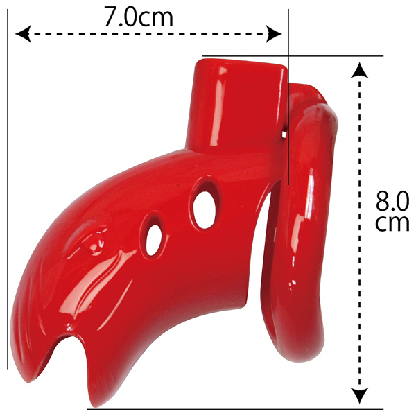 �`�F�X�e�e�B�P�[�W�@�i���b�h�j