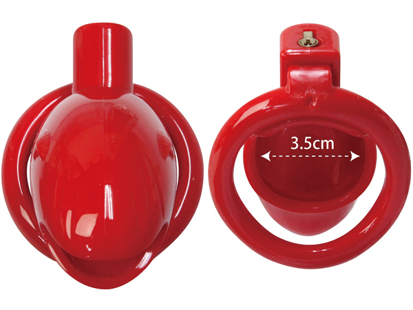 �`�F�X�e�e�B�P�[�W�@�i���b�h�j